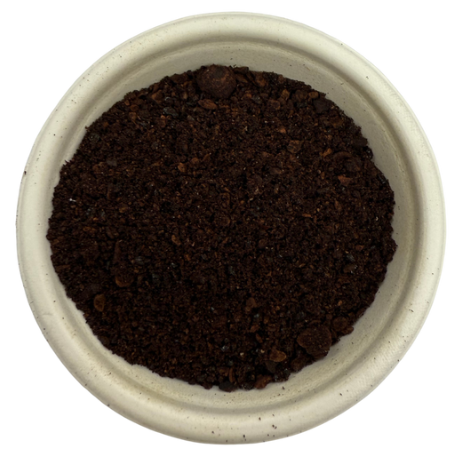 Tasmanian Pepper Berry - タスマニアペッパーベリー